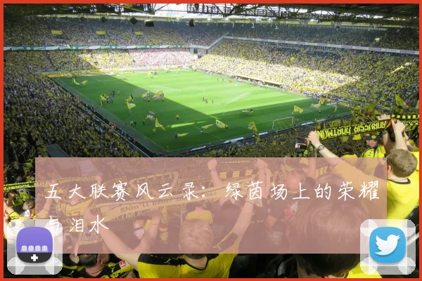 五大联赛风云录：绿茵场上的荣耀与泪水